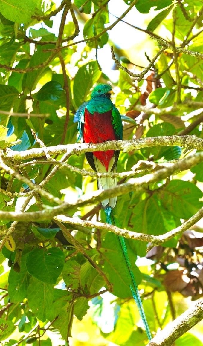 Costa Rica view 6